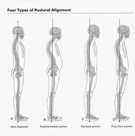 posture-charts.png